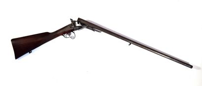 null 
Pinfire rifle made in Saint-Etienne


L. 114 cm


A damaged dog



Category...