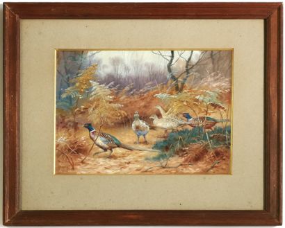 null Georges Frederic RÖTIG (1873-1961)

Pheasants, 1926

Gouache on paper signed...