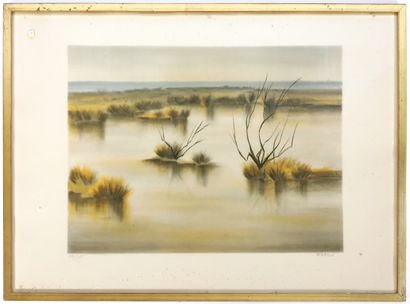 null ZAROU, Gérard CARDELLA said (1930-2013)

Pond of Camargue in the evening

Lithograph...