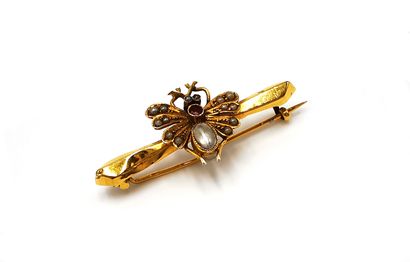 null Brooch in yellow gold 18K (750 thousandths) representing a flying insect set...