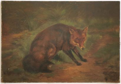 null 19th century school

Fox

Oil on canvas bearing a signature

50 x 73 cm

Accident,...