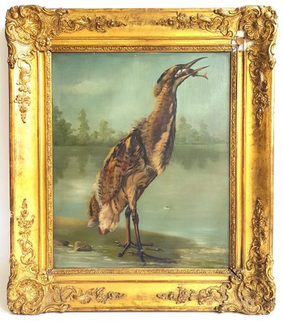 null L. GAGE (19th century school)

Wader with his prey, 1884

Oil on canvas signed,...