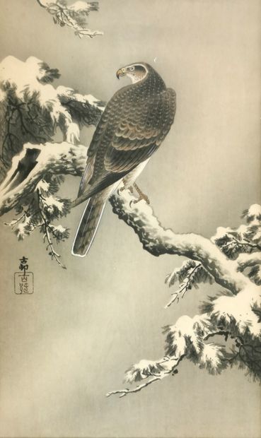 null CHINA or JAPAN

Bird of prey under the snow

Ink and ink wash on paper with...