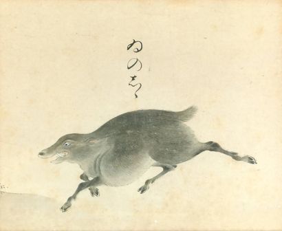 null JAPAN, 17th - 18th century

Thrown boar

Ink on paper, label on the back "Painting...
