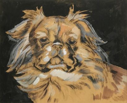 null Jacques NAM, Jacques LEHMANN dit (1881-1974)

Study of a dog's head

Charcoal...