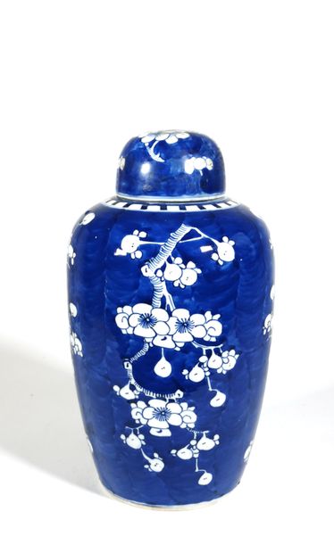 null CHINA, 19th century

Porcelain vase with white-blue decoration of flowering...