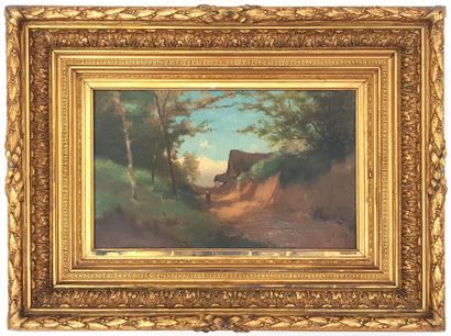 null Lucien FRANCK (1857-1920)

Chemin en sous-bois

Huile sur toile signée

32 x...