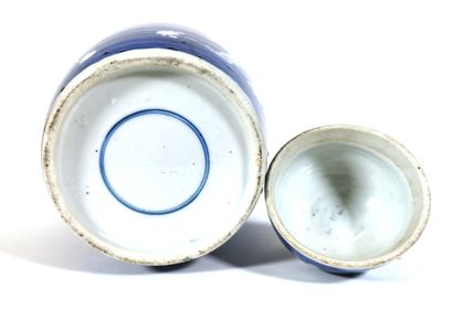 null CHINE, XIXe siècle

Potiche en porcelaine à décor blanc bleu de branchages fleuris,...