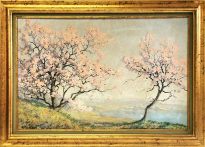 null 
Raymond THIBESART (1878-1965)





Apple trees in bloom on the banks of the...