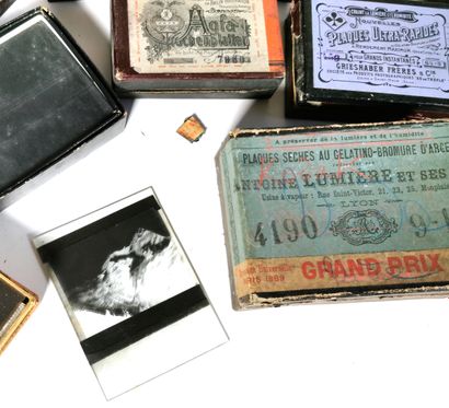 null Importante collection de plaques photographiques au gélatino-bromure d'argent...