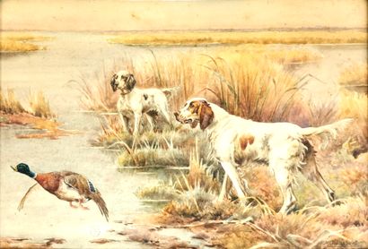 null M. GUILLEBERT (School of the XXth century)

The duck hunt

Watercolor on paper...