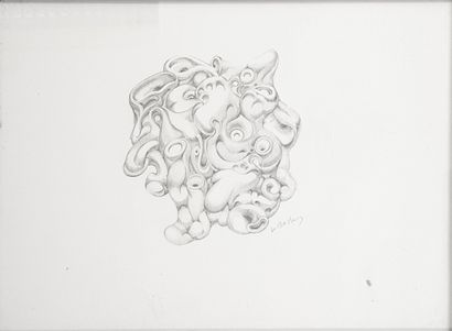 null Louis BELLON (1909-1998)

Surrealist Cluster

Pencil on paper signed

27,5 x...