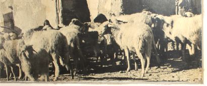 null École du XXe siècle, vers 1950

Les bergers marocains

Photographie contrecollée...