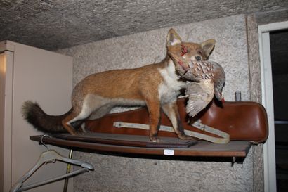 null Stuffed fox, two massacres, one rifle case, one cartridge box and rifle case

Only...