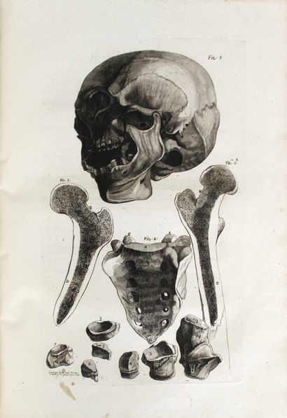 null GAMELIN Jacques. Nouveau Recueil d’ostéologie et de myologie dessiné d’après...