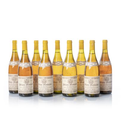 null 9 bottles PULIGNY-MONTRACHET - Combettes - White

Year : 1989

Appellation :...