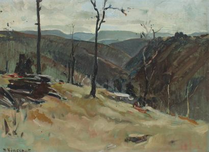 null Henri VINCENOT (1912-1985)

Paysage de montagne

Huile sur carton signé en bas...