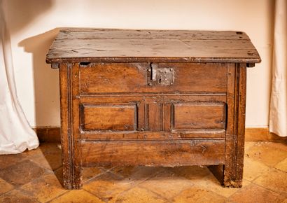 Small molded oak chest with a rectangular...