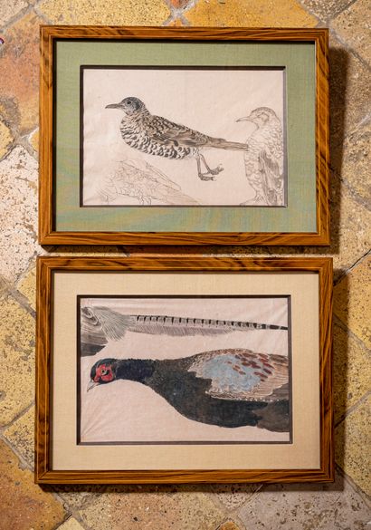 null School of the XXth century

Partridge and Pheasant Studies

Two inks and ink...