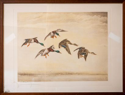null Léon DANCHIN (1887-1938)

Flight of mallards

Engraving signed

55,5 x 75 cm...