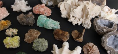 null Collection de minéraux et coquillages comprenant une imprortante géode de quartz...