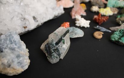 null Collection of minerals and shells including an impressive quartz geode (L. 32...