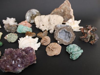 null Collection de minéraux et coquillages comprenant une imprortante géode de quartz...