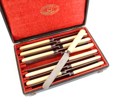 null CHRISTOFLE House
Twelve dessert knives, the blades in silver plated metal, the...