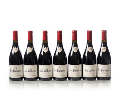 7 bouteilles LES PALLIÈRES – Racines – Domaine...