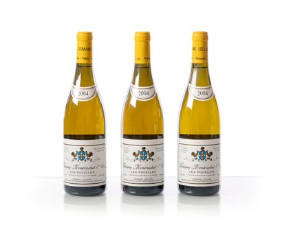 null 3 bouteilles PULIGNY-MONTRACHET 1er Cru Les Pucelles Blanc – Domaine LEFLAIVE
Année...