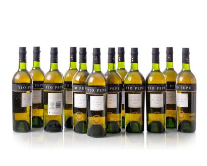 null 12 bouteilles (75 cl. – 15°) JEREZ TIO PEPE Blanc GONZALES BYASS Palomino Fino...