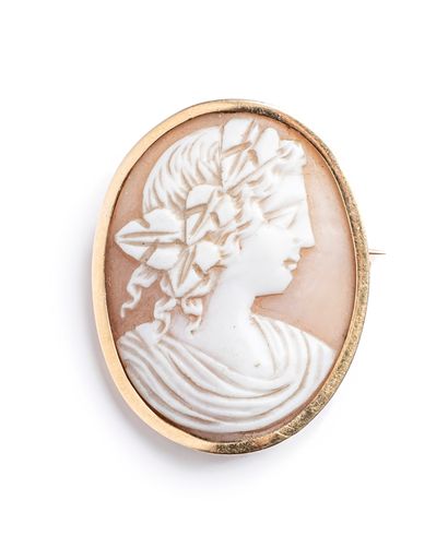 null Brooch in yellow gold 18K (750 thousandths), oval shape decorated with a cameo...