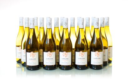 18 bottles DOMAINE LA ROLANDE White - Prat...