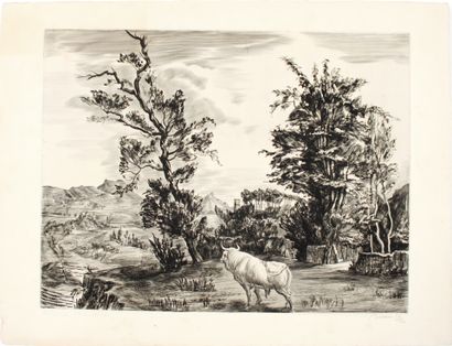 null Albert DECARIS (1901-1988)
Landscape with bull
Burin engraving, signed, titled...