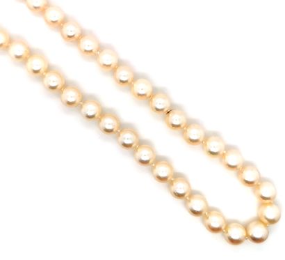 null Necklace of seventy-four white Japanese Akoya pearls, clasp in 18K (750 thousandths)...
