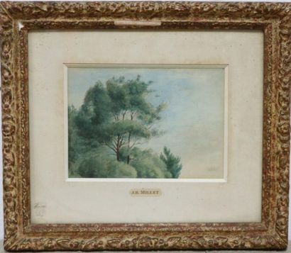 null Jean-Baptiste MILLET (1831-1906).

Landscape with trees.

Ink and watercolour...