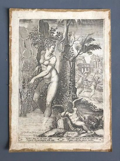 null Giorgio GHISI (1520-1582).

Vénus et la Rose. 1556.

Gravure sur cuivre d'après...