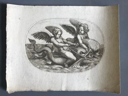 null Adamo SCULTORI (c.1530-1585).

Two lovers riding dolphins.

Engraving in black.

H:...