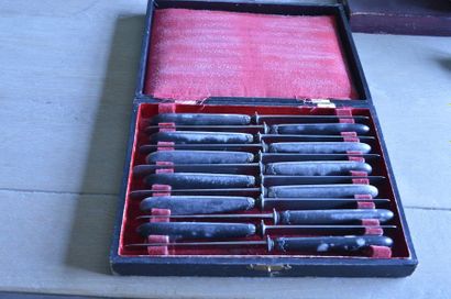 null Set of 12 knives, blackened wooden handle and metal blade, in a case