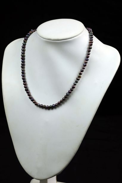 null Necklace of 84 freshwater pearls dyed in the mass, diameter 6mm approximately;...