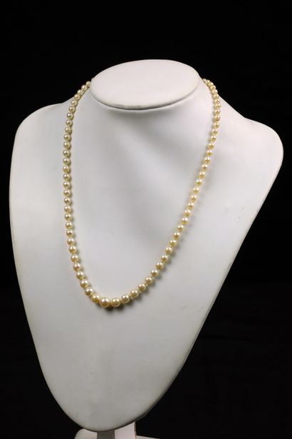 null Necklace of 81 falling cultured pearls, diameter 4mm to 8mm, length: 52cm; flat...