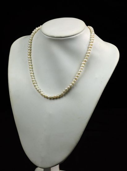 null Necklace of 82 freshwater pearls in shock, diameter about 6 mm; Length 46 cm,...