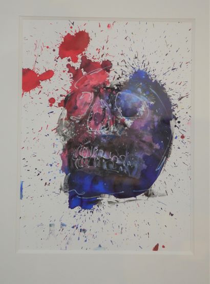 null PHILIPPE PASQUA (FRA/ BORN IN 1965)

Vanity (blue and pink skull)

Acrylic and...