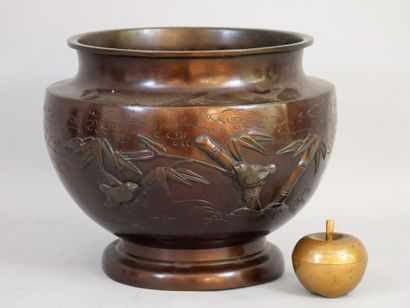 null Pot en bronze à patine brune à décor d'arbres et d'oiseaux. Japon, début XXème...