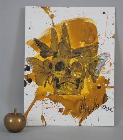 null PHILIPPE PASQUA (FRA/ BORN IN 1965)

Vanity (yellow skull)

Acrylic and ink...