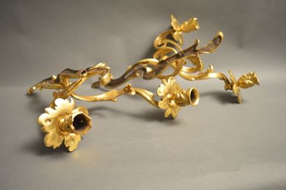 null Paire d’appliques en bronze doré de style Louis XV à deux bras de lumières....