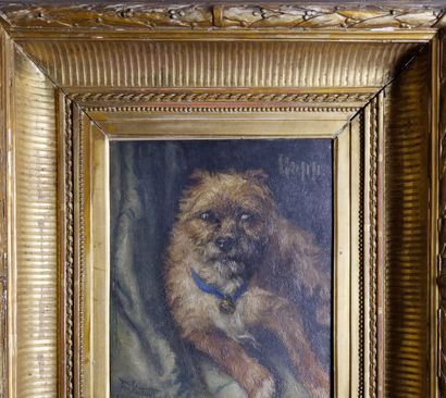 null Ecole belge de la fin du XIXè, Portrait d’un Border Terrier, signé indistinctement...
