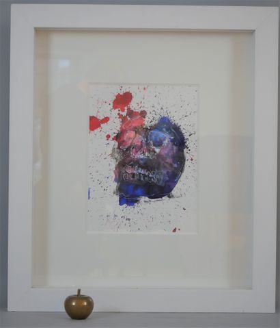 null PHILIPPE PASQUA (FRA/ BORN IN 1965)

Vanity (blue and pink skull)

Acrylic and...