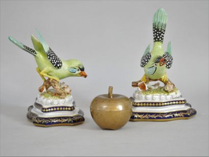 null Porcelaine de Paris. Paire d'oiseaux en porcelaine polychrome, représentant...