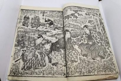 null LIVRES D'estampes JAPON.



Art japonais,paire de livres d'estampes fin 19eme...